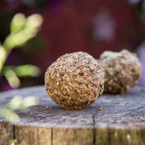 Bomba Herbal XL Purificación - Sagrada Madre